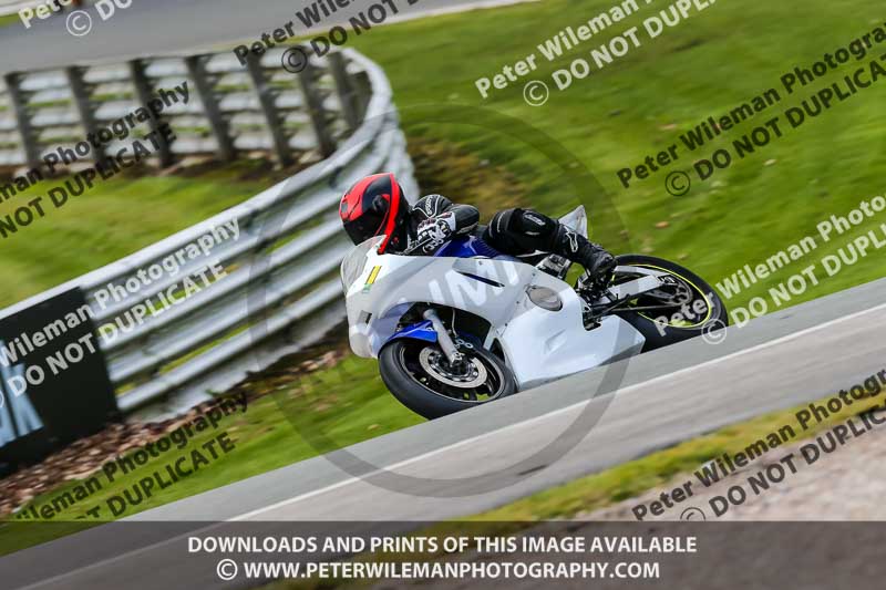 Oulton Park 20th March 2020;PJ Motorsport Photography 2020;anglesey;brands hatch;cadwell park;croft;donington park;enduro digital images;event digital images;eventdigitalimages;mallory;no limits;oulton park;peter wileman photography;racing digital images;silverstone;snetterton;trackday digital images;trackday photos;vmcc banbury run;welsh 2 day enduro